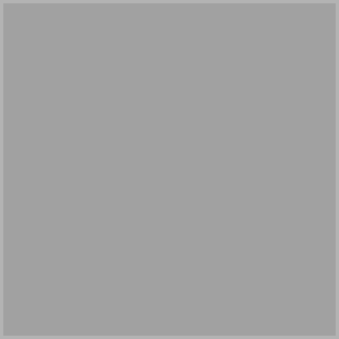 P Bot.Com
